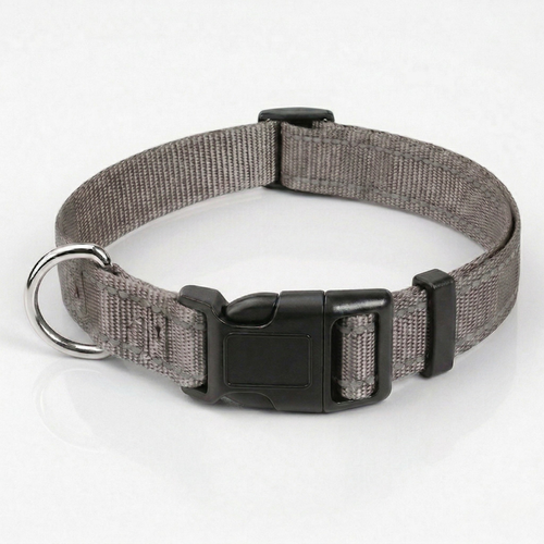 Collier Chiot Nylon Réglable Sécurisé