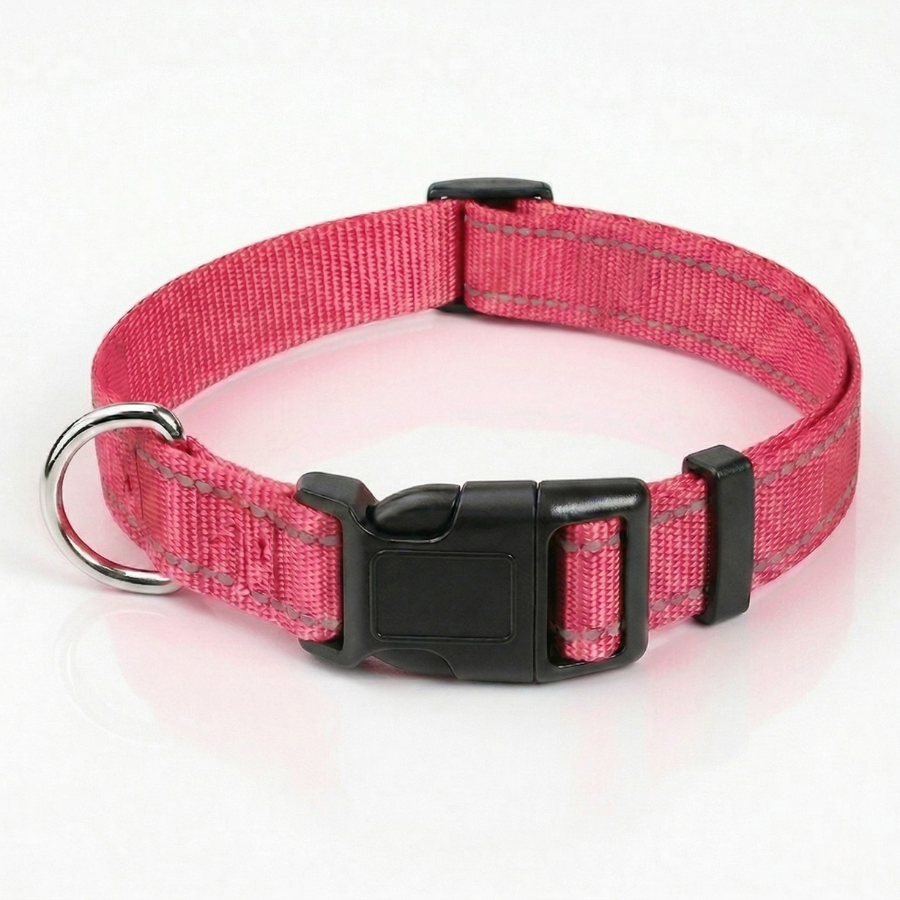 Collier Chiot Nylon Réglable Sécurisé