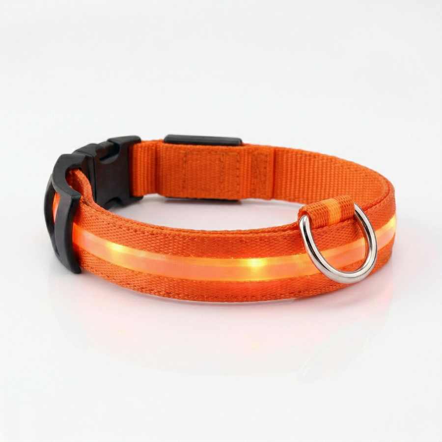 Collier Lumineux Chien LED Nylon Sécurité Nocturne