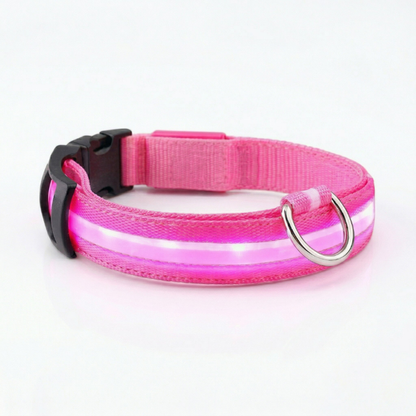 Collier Lumineux Chien LED Nylon Sécurité Nocturne