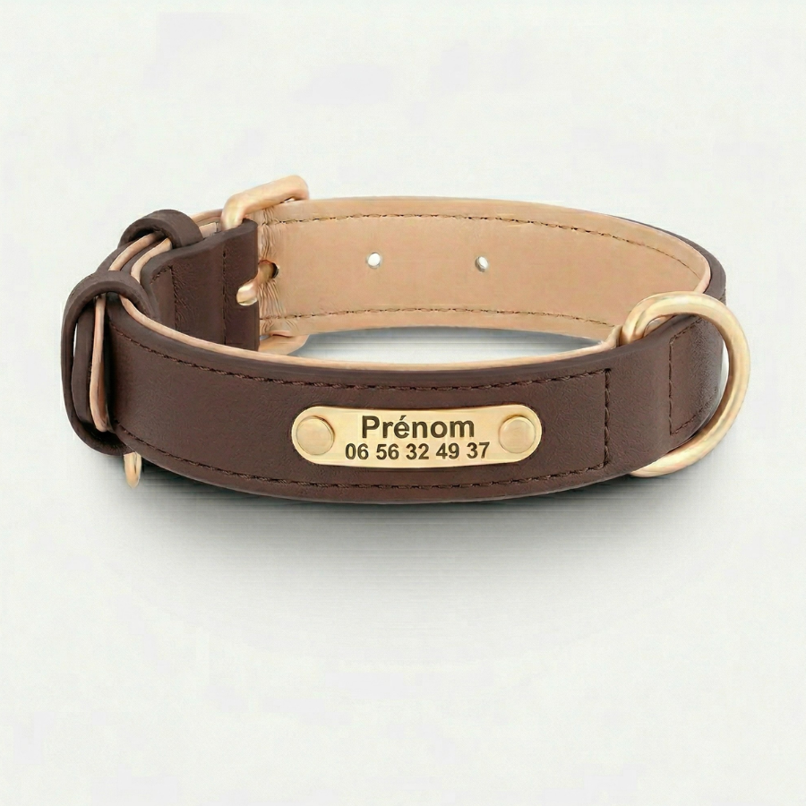 Collier Personnalisé Chien Cuir PU Gravure Nom