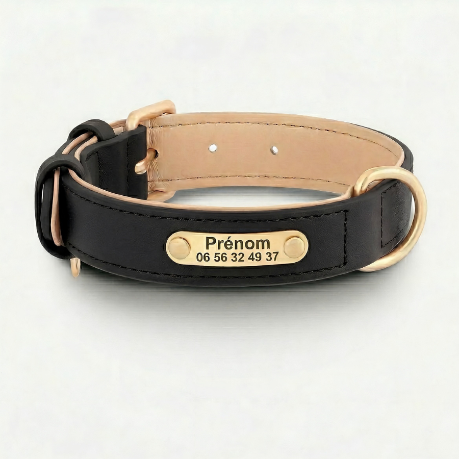 Collier Personnalisé Chien Cuir PU Gravure Nom