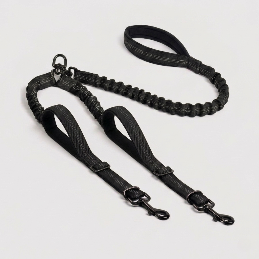 Double Laisse Chien Nylon Réglable