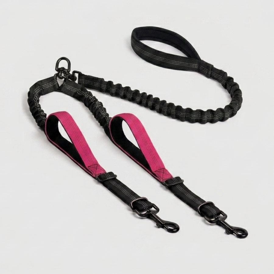 Double Laisse Chien Nylon Réglable