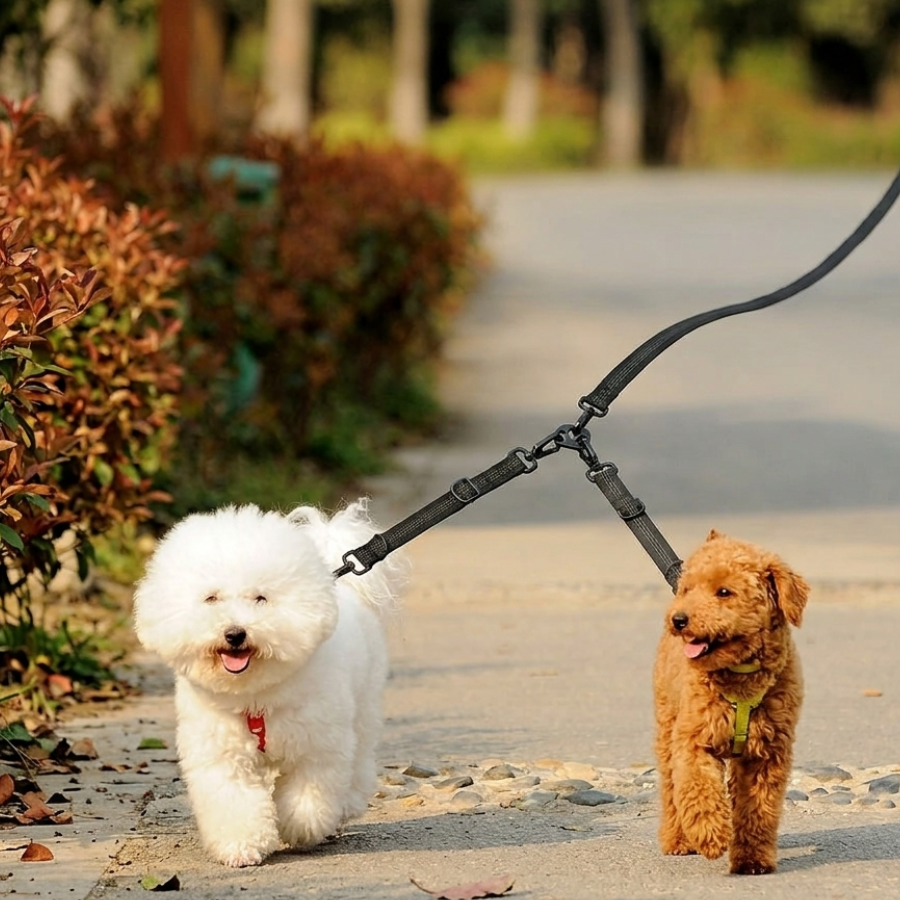 Double Laisse Chien Nylon Réglable