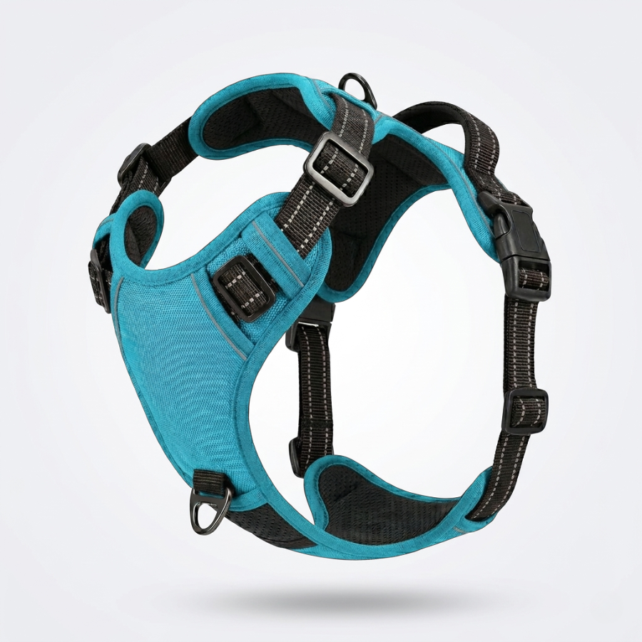 Harnais Chien Anti-Traction en Y Réglable