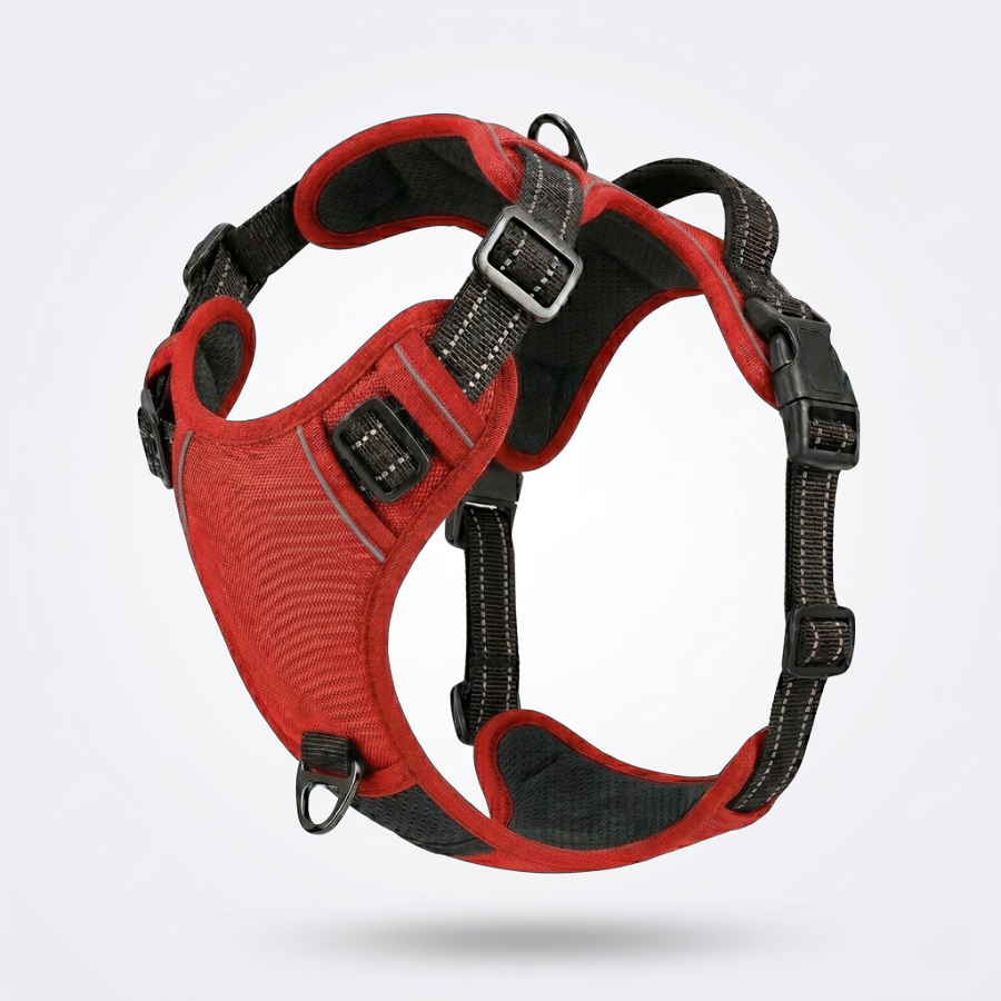 Harnais Chien Anti-Traction en Y Réglable