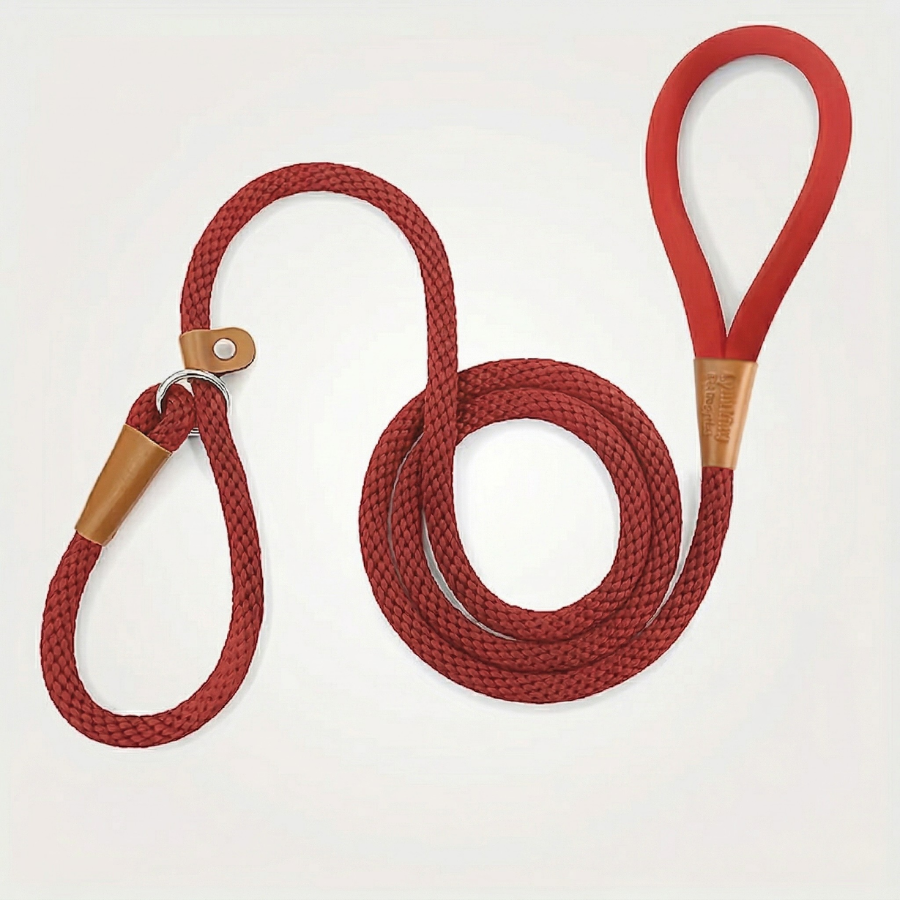 Laisse Lasso Chien Corde Tressée Nylon Réglable