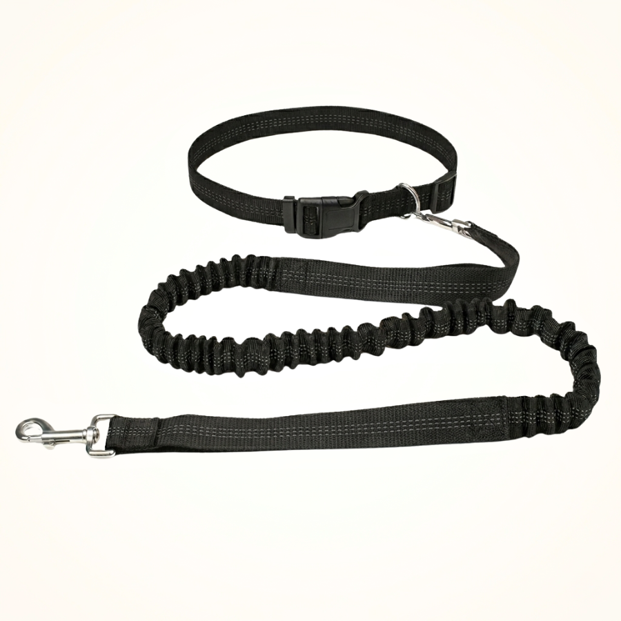 Laisse Mains Libres Chien Réglable Nylon Running