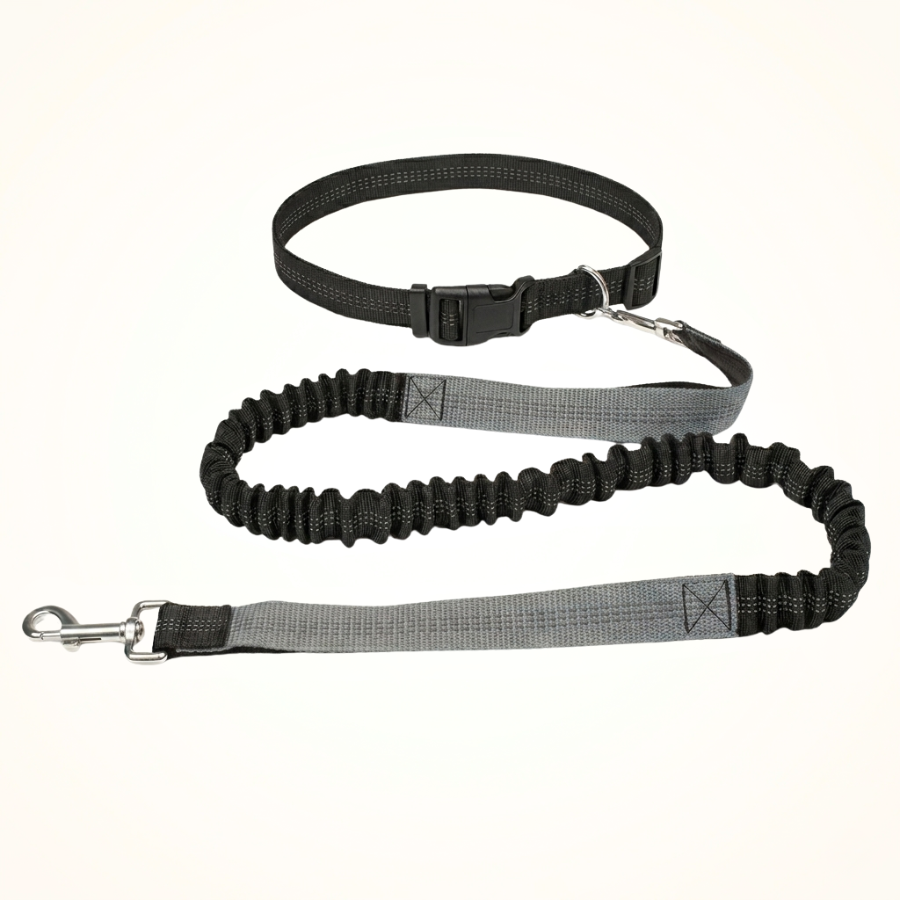 Laisse Mains Libres Chien Réglable Nylon Running