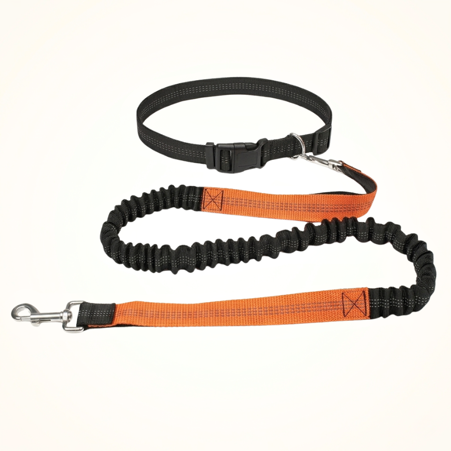 Laisse Mains Libres Chien Réglable Nylon Running